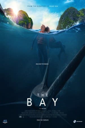 The Bay